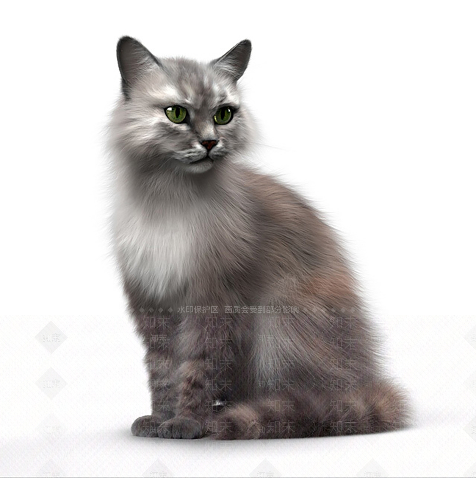 猫3D模型渲染效果图