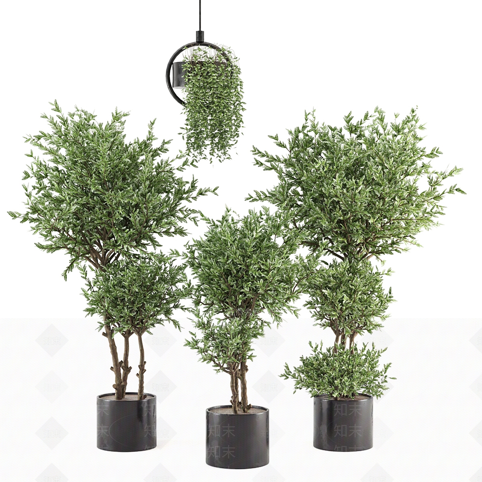 现代欧式花钵3D模型下载【ID:1174158136】