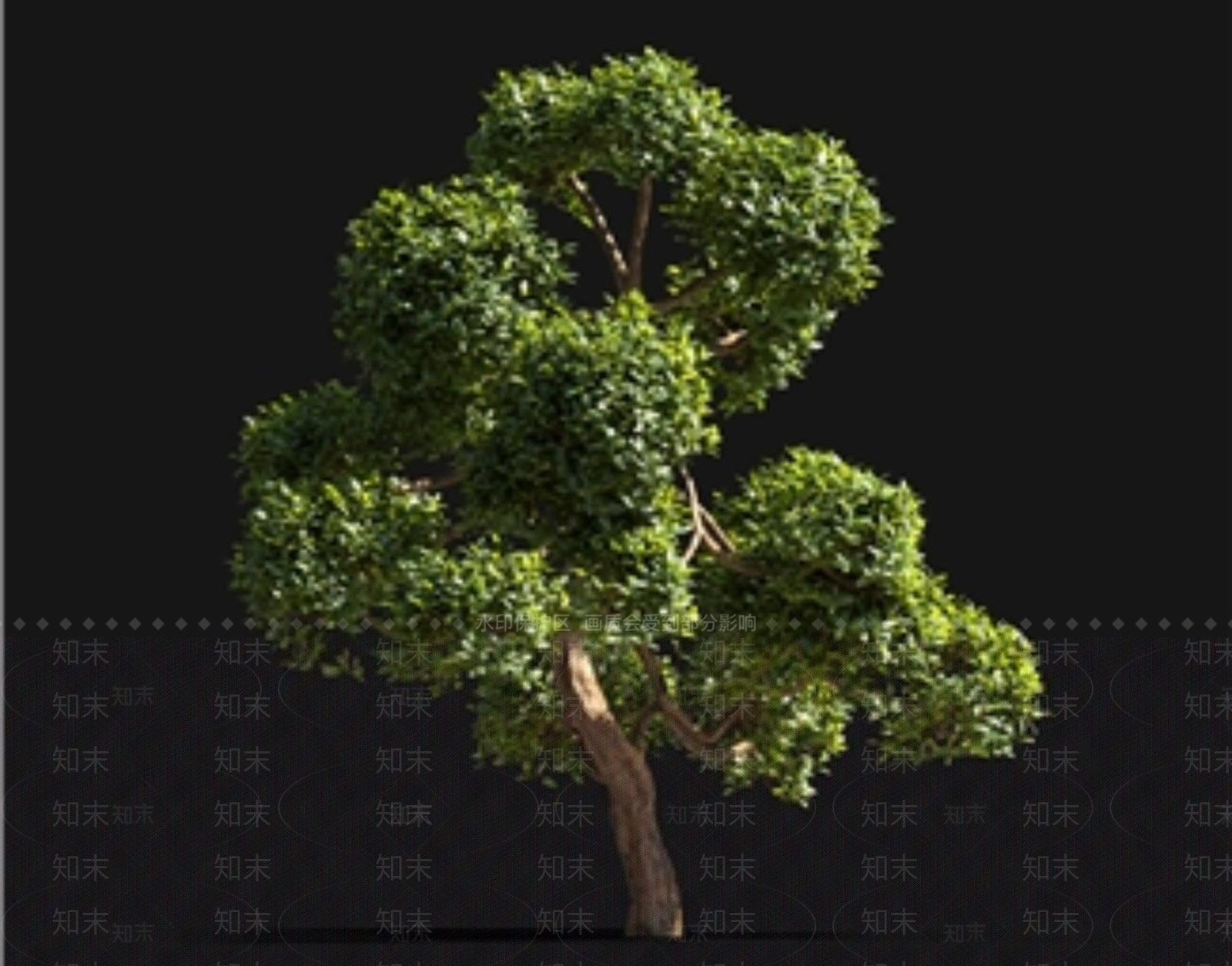 景观树3D模型下载【ID:1174233461】