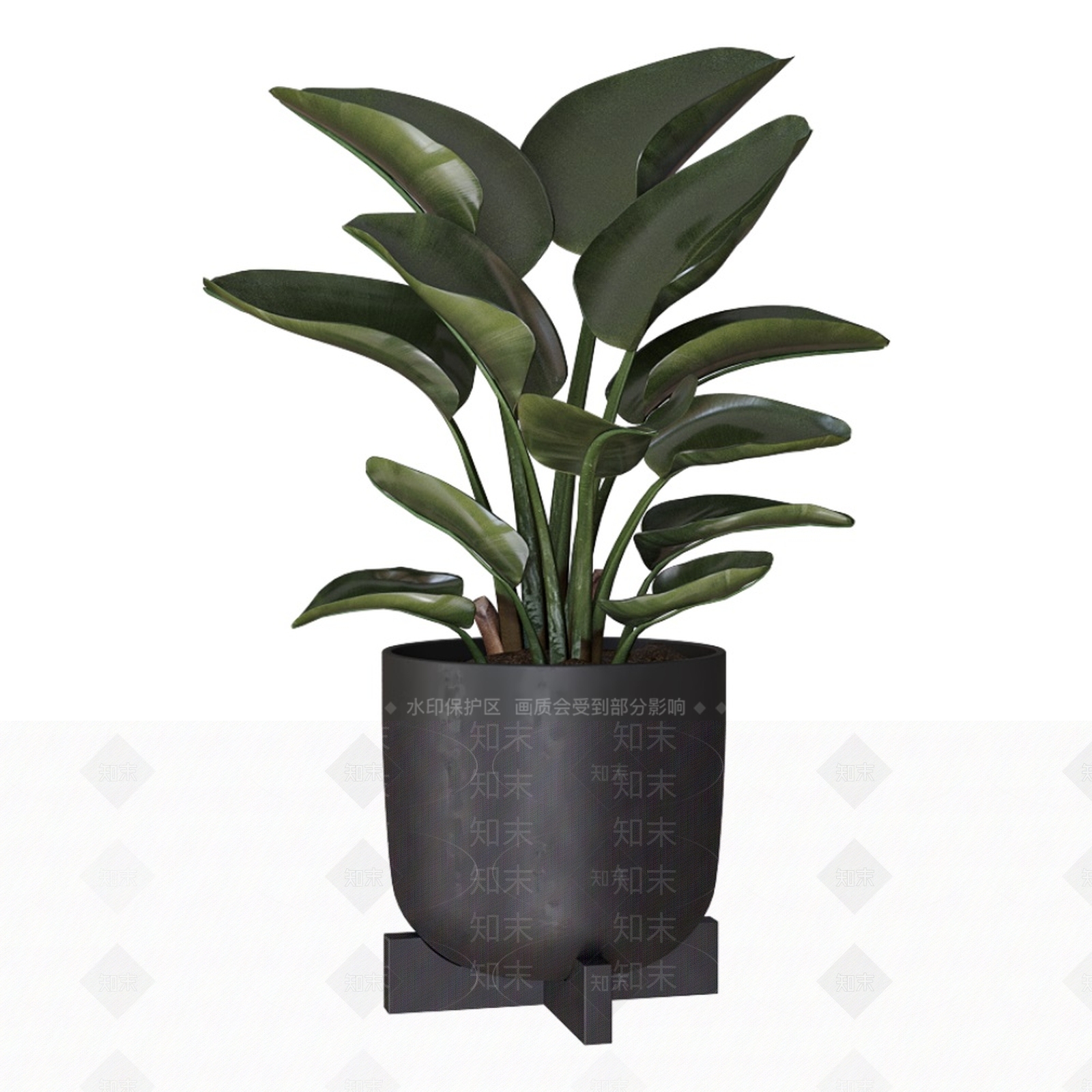 其他绿植3D模型下载【ID:1174247268】