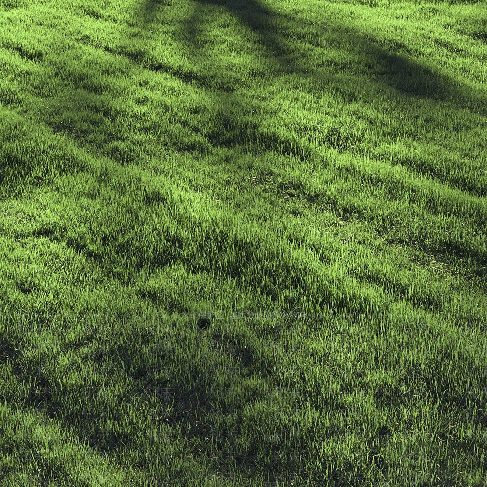 草坪3D模型下载【ID:1174375790】