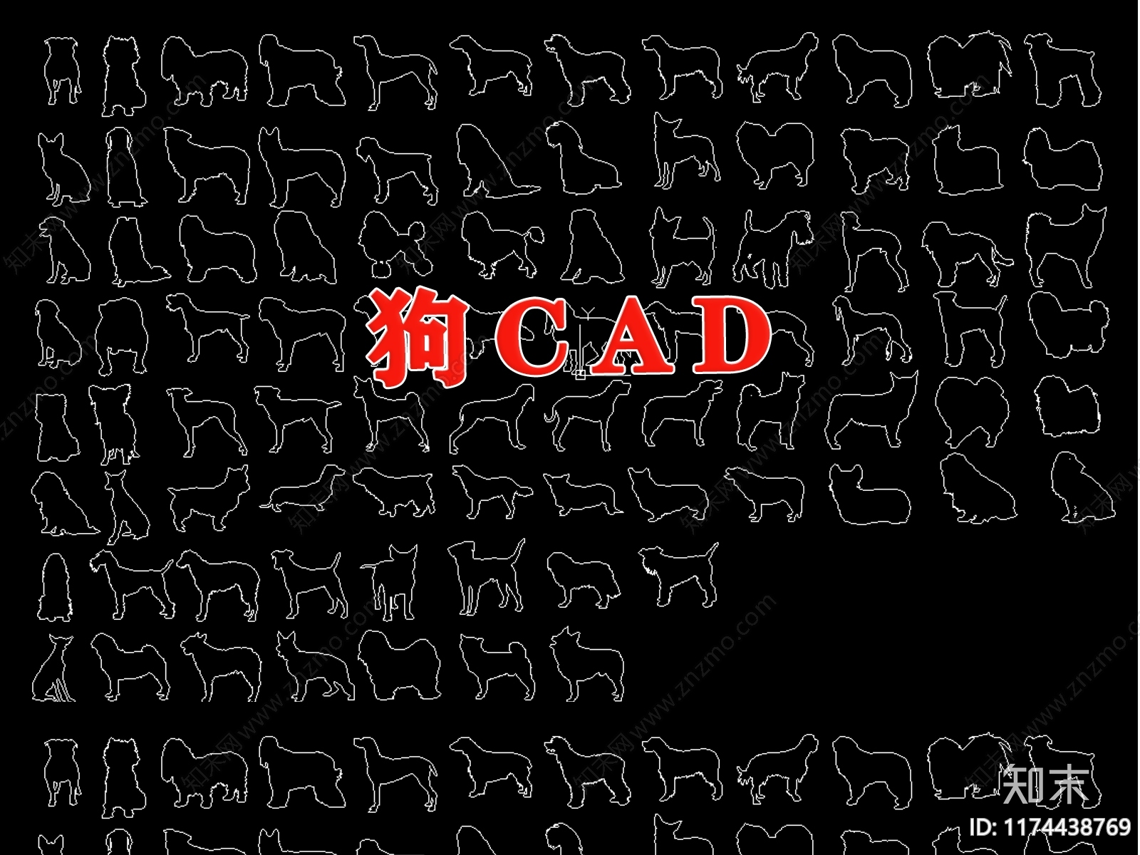 现代动物cad施工图下载【ID:1174438769】