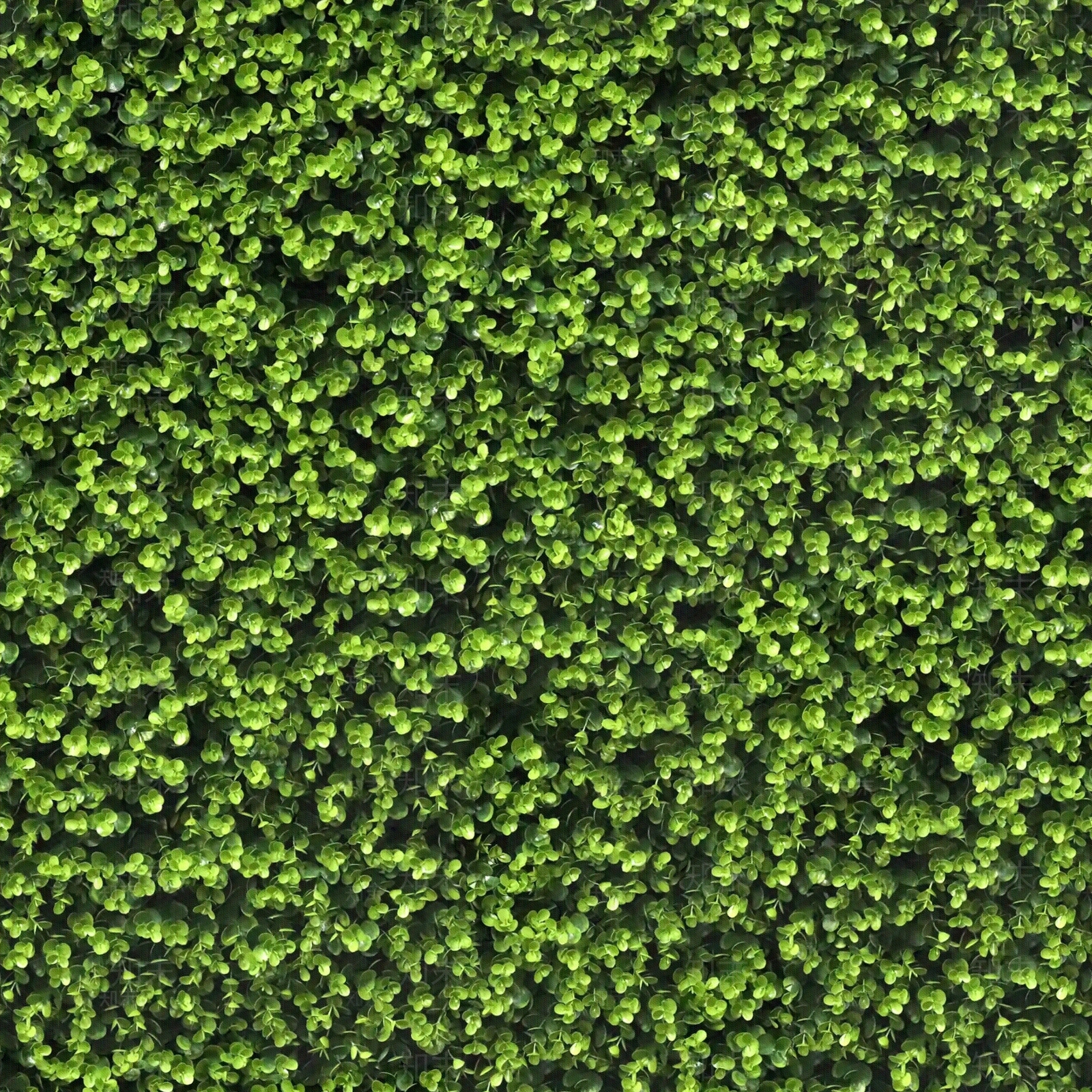 现代绿植墙贴图下载【ID:1174451119】