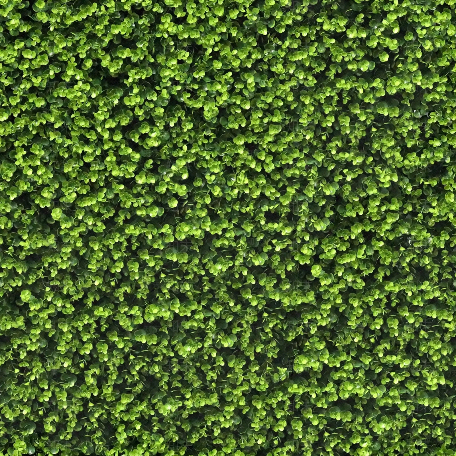 现代绿植墙贴图下载【ID:1174451530】