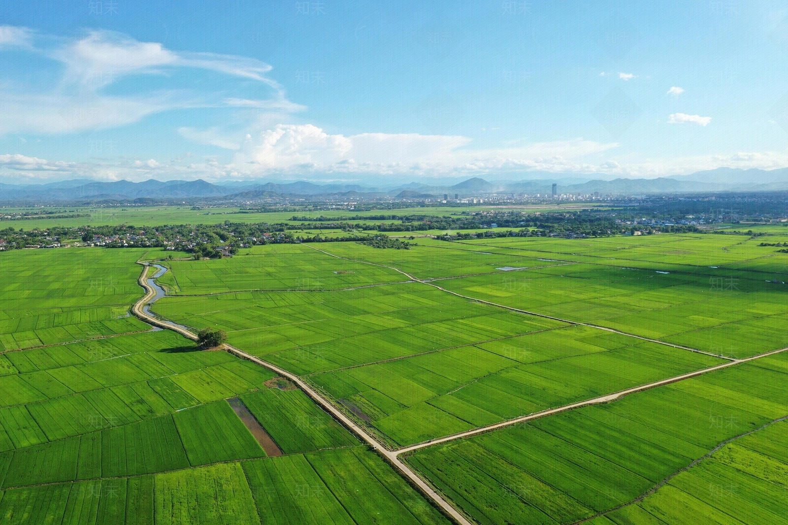 现代乡村贴图下载【ID:1174645737】