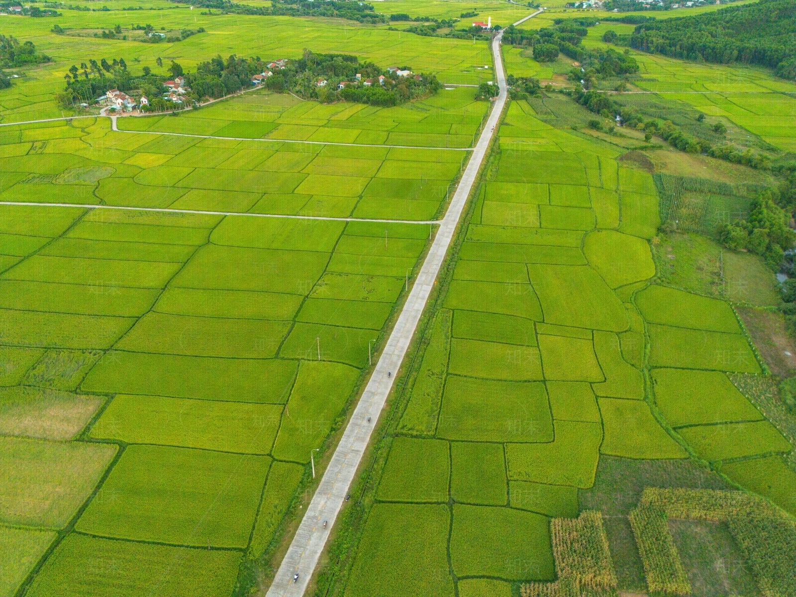 现代乡村贴图下载【ID:1174647612】