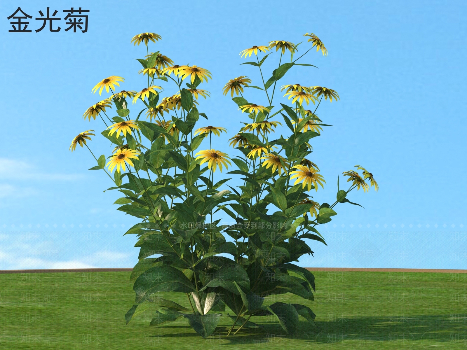 草3D模型下载【ID:1174717248】