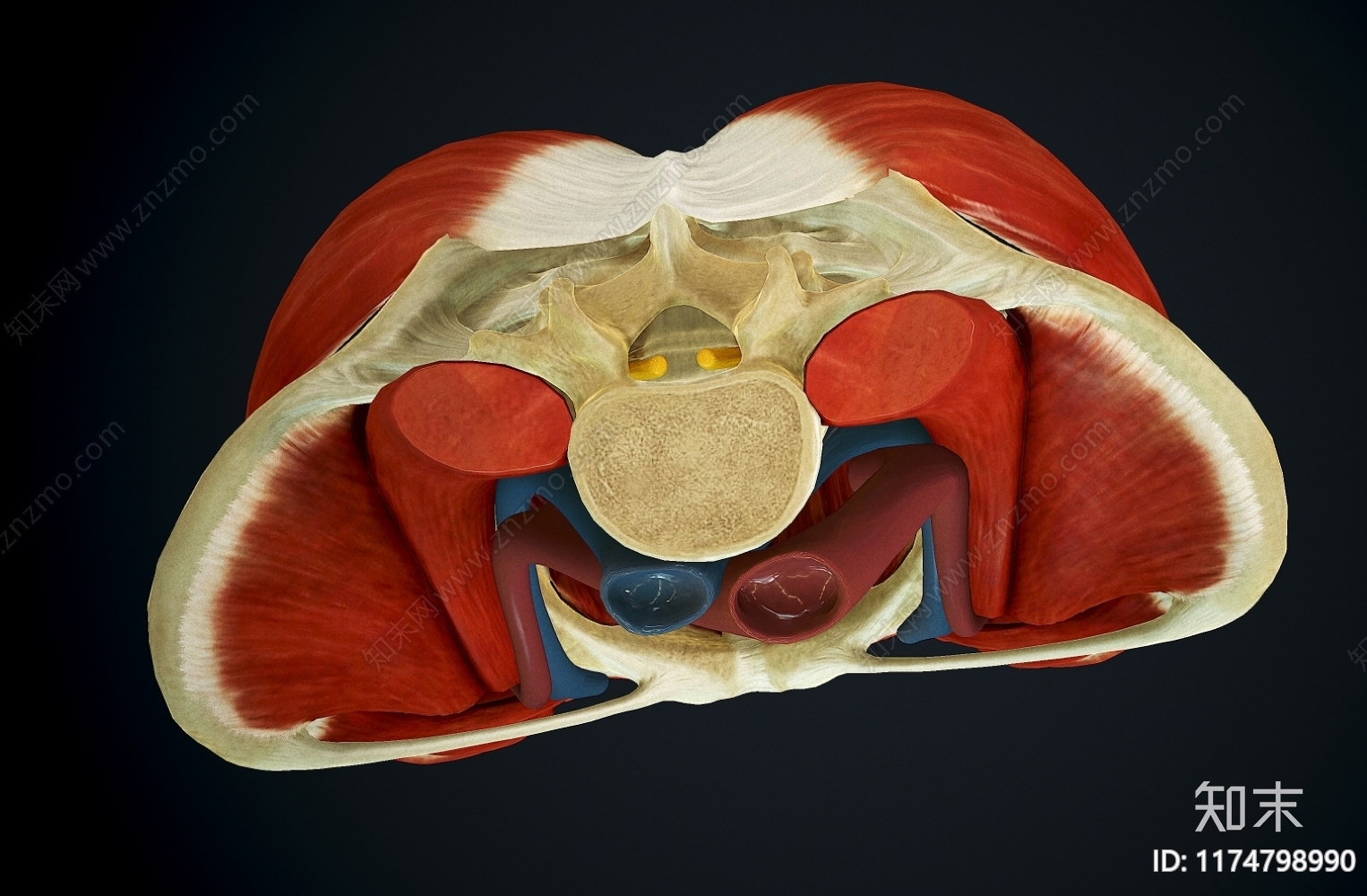 虚拟人物3D模型下载【ID:1174798990】