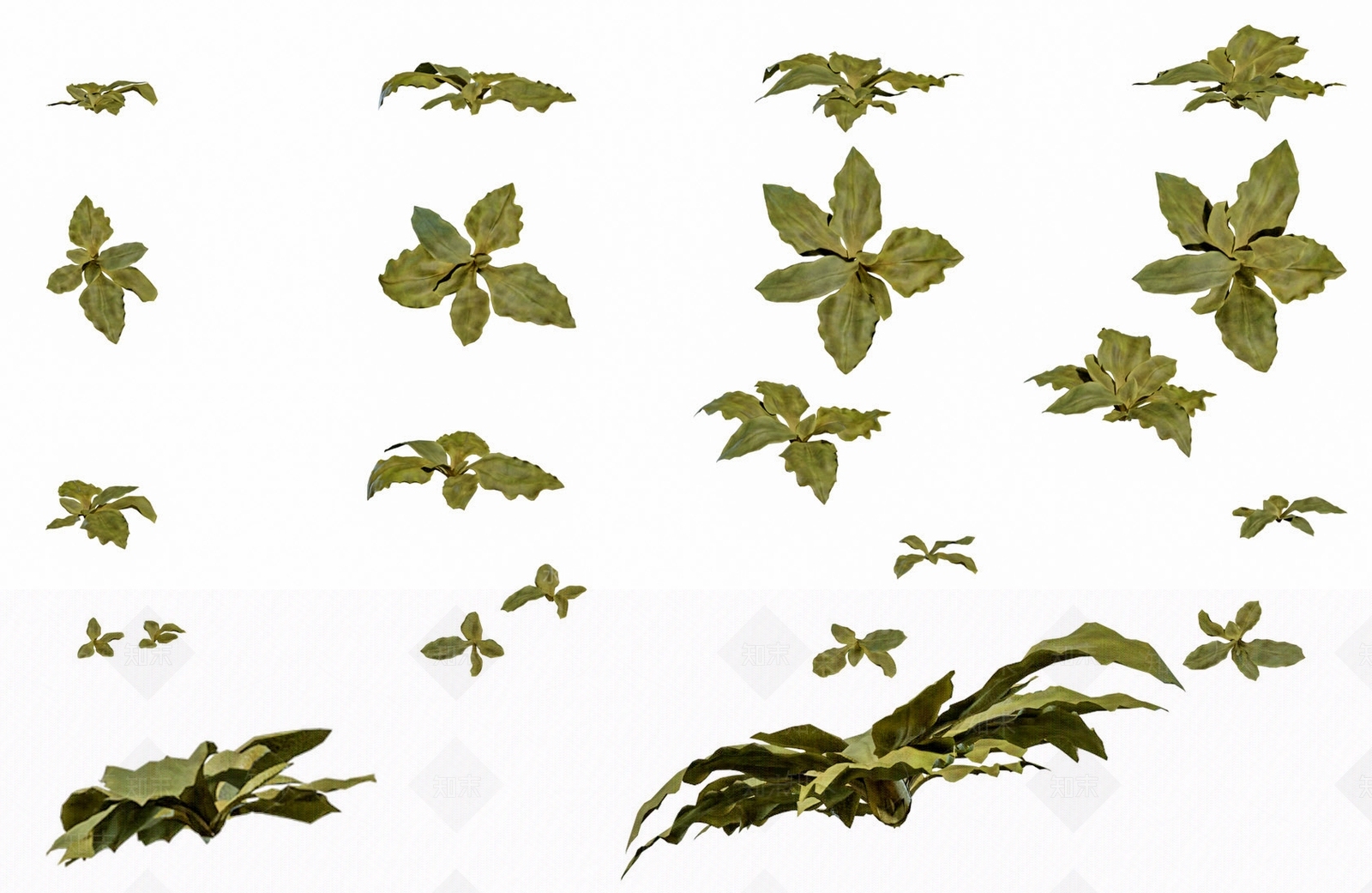 花草组合3D模型下载【ID:1174839130】