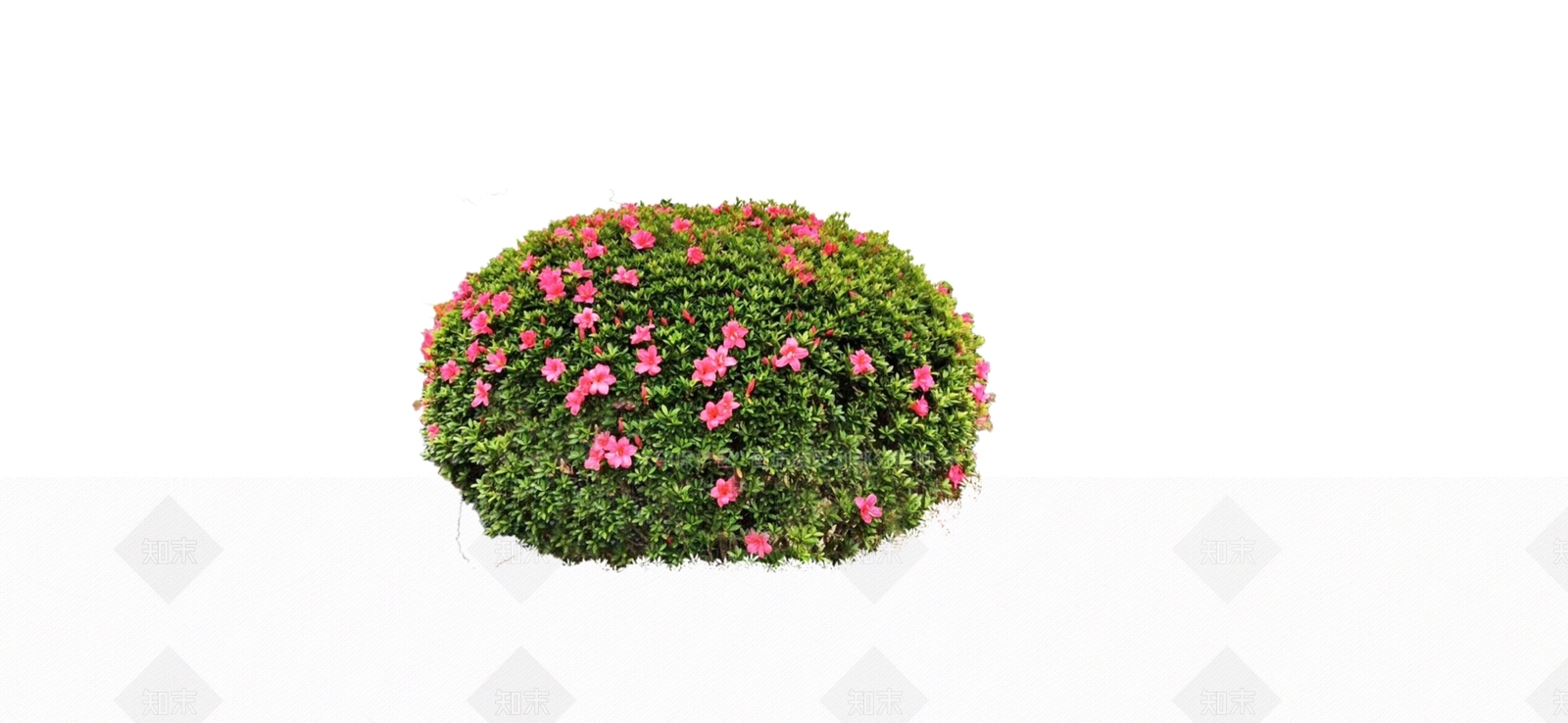 灌木SU模型下载【ID:1174935686】