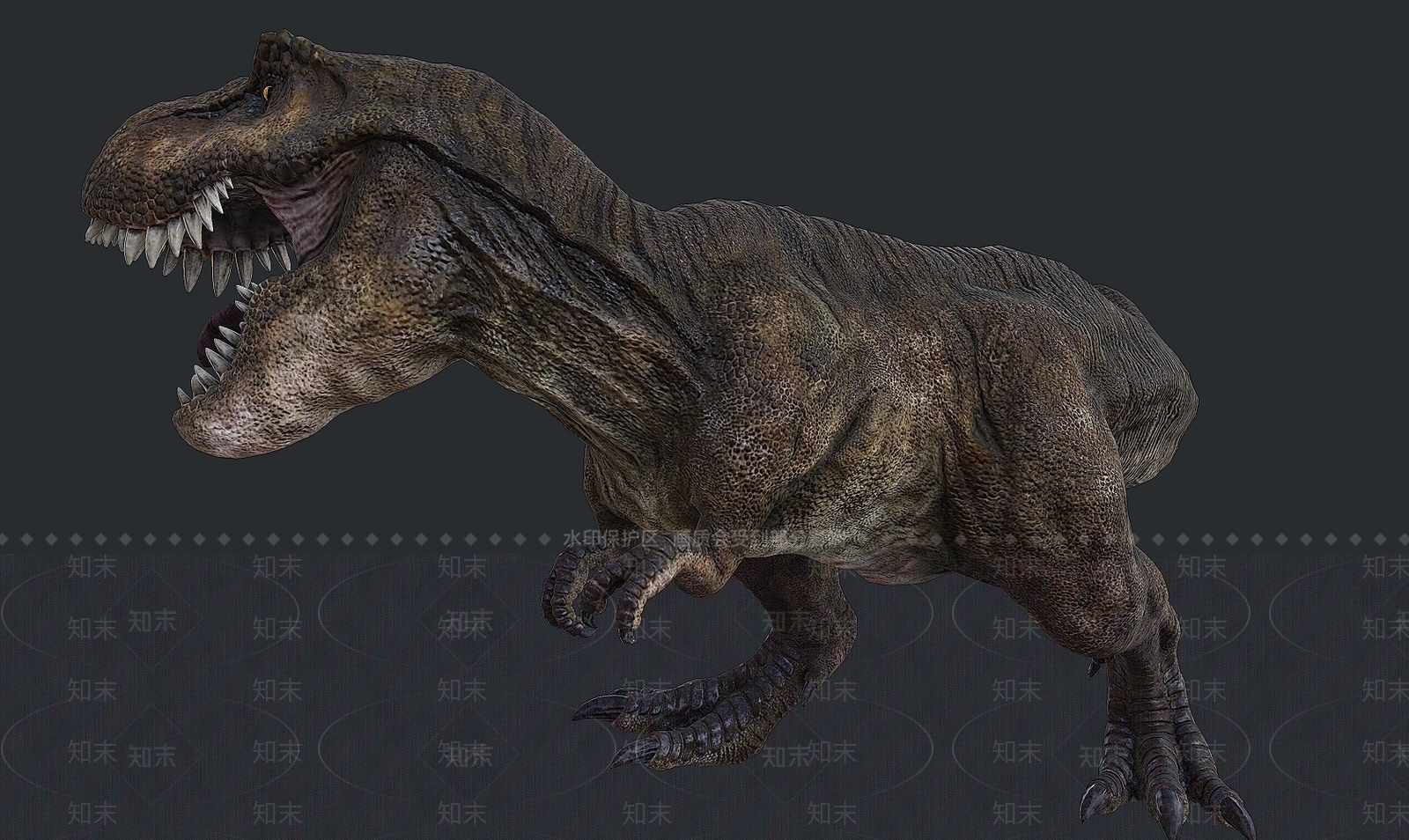 爬行类动物3D模型下载【ID:1175063148】