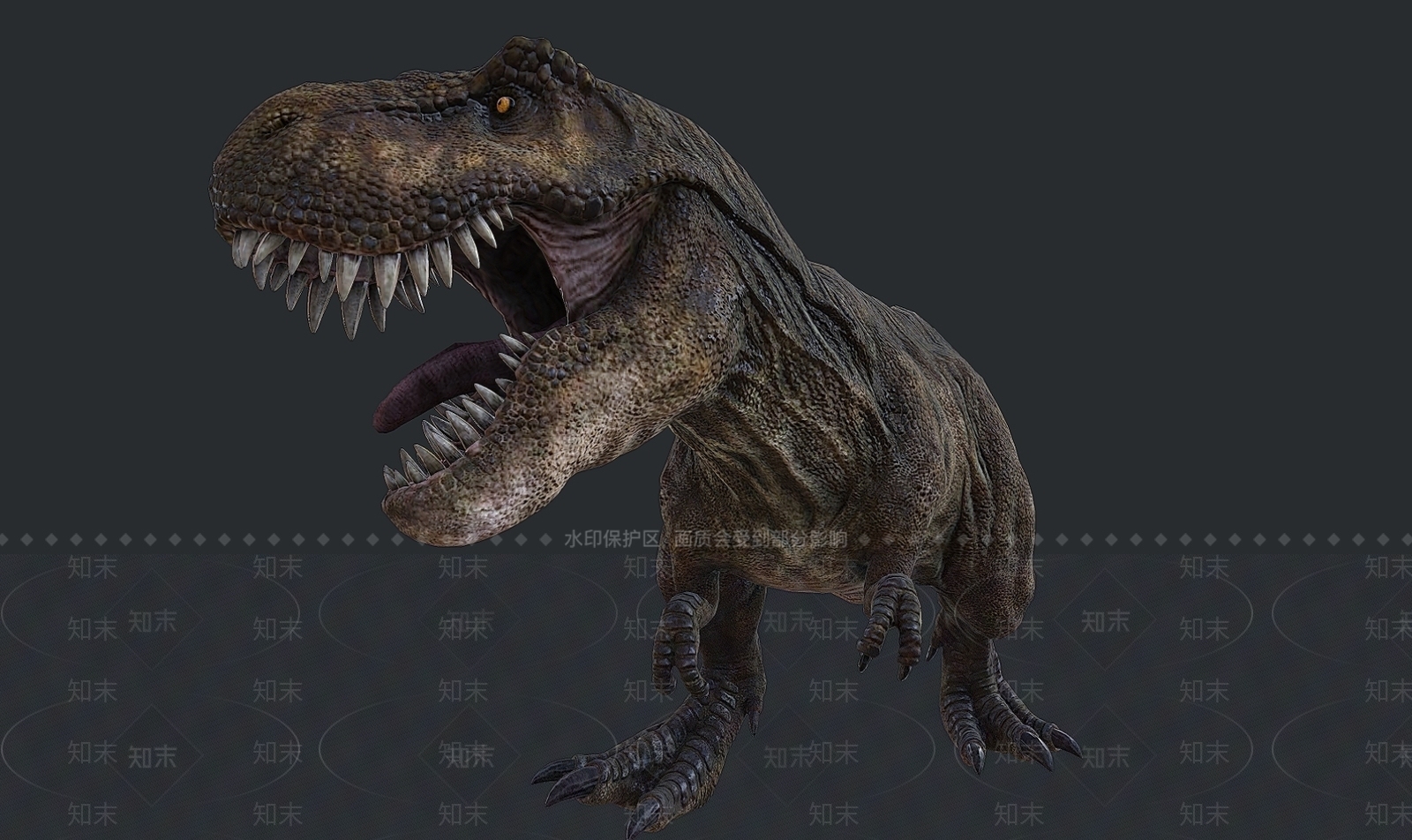 爬行类动物3D模型下载【ID:1175063148】