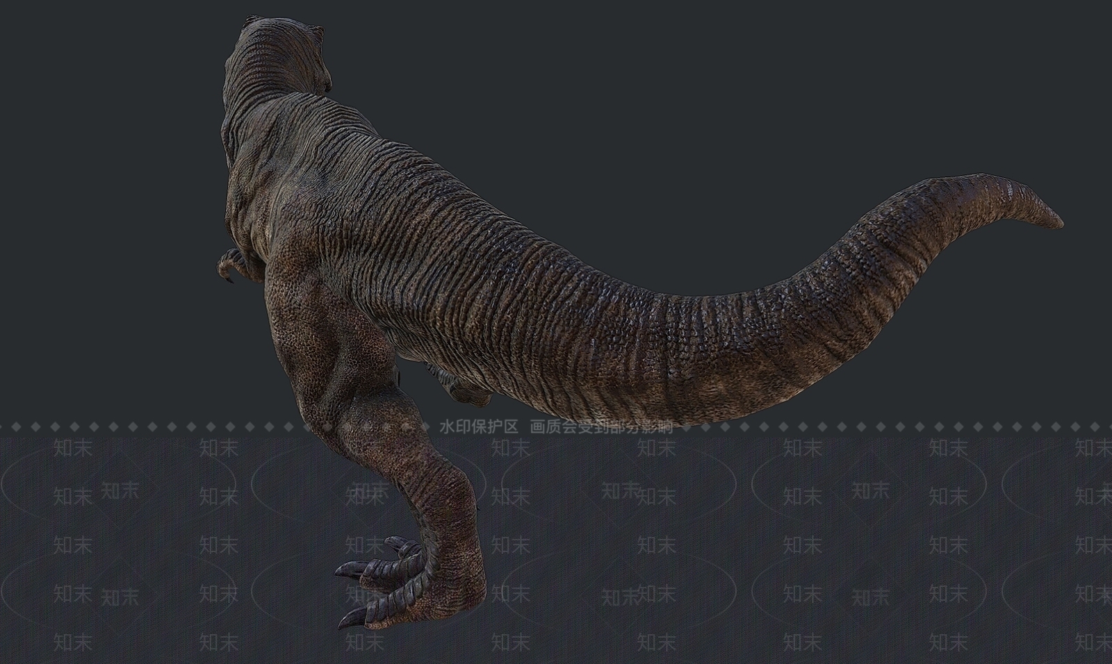 爬行类动物3D模型下载【ID:1175063148】