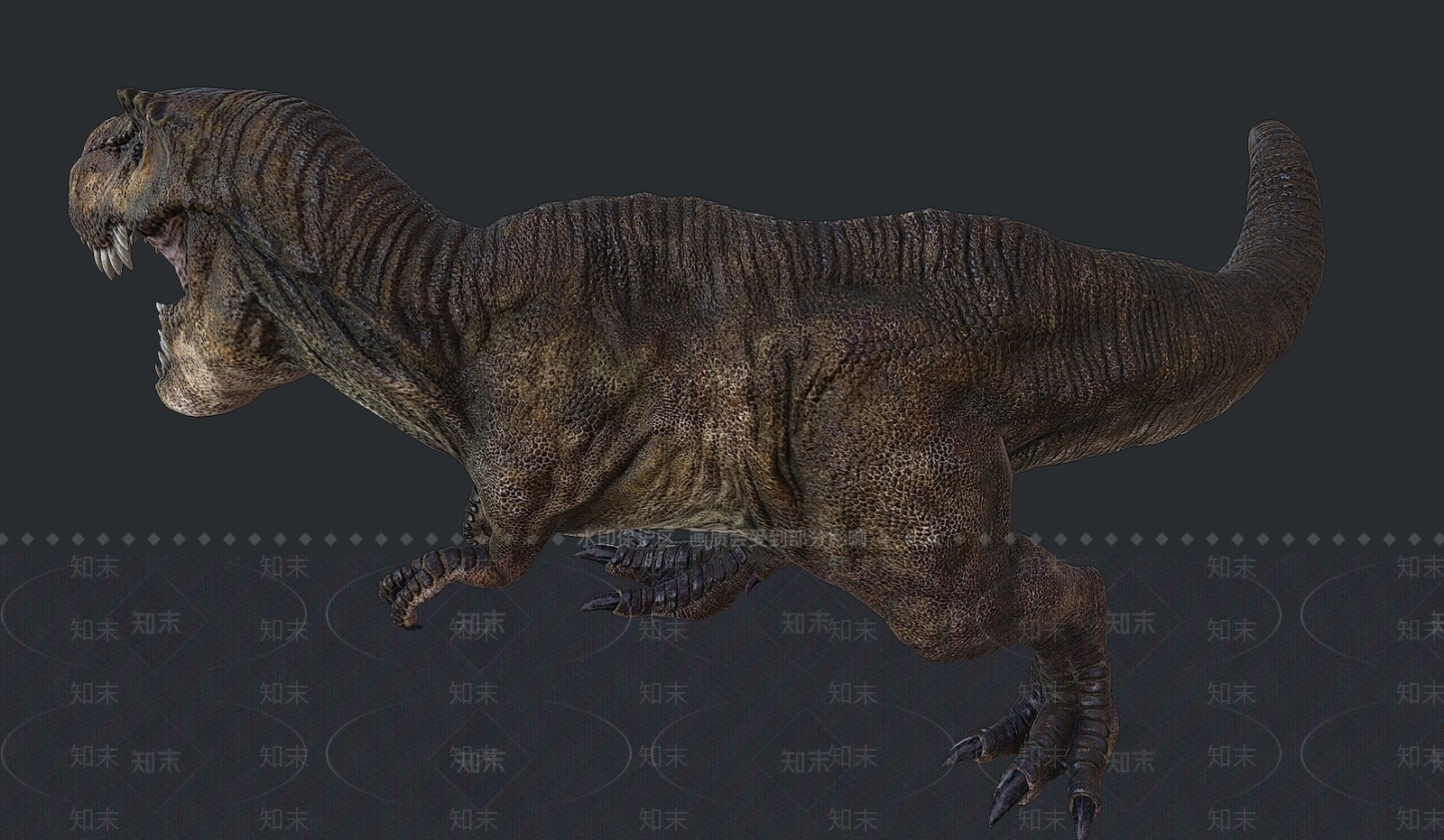 爬行类动物3D模型下载【ID:1175063148】