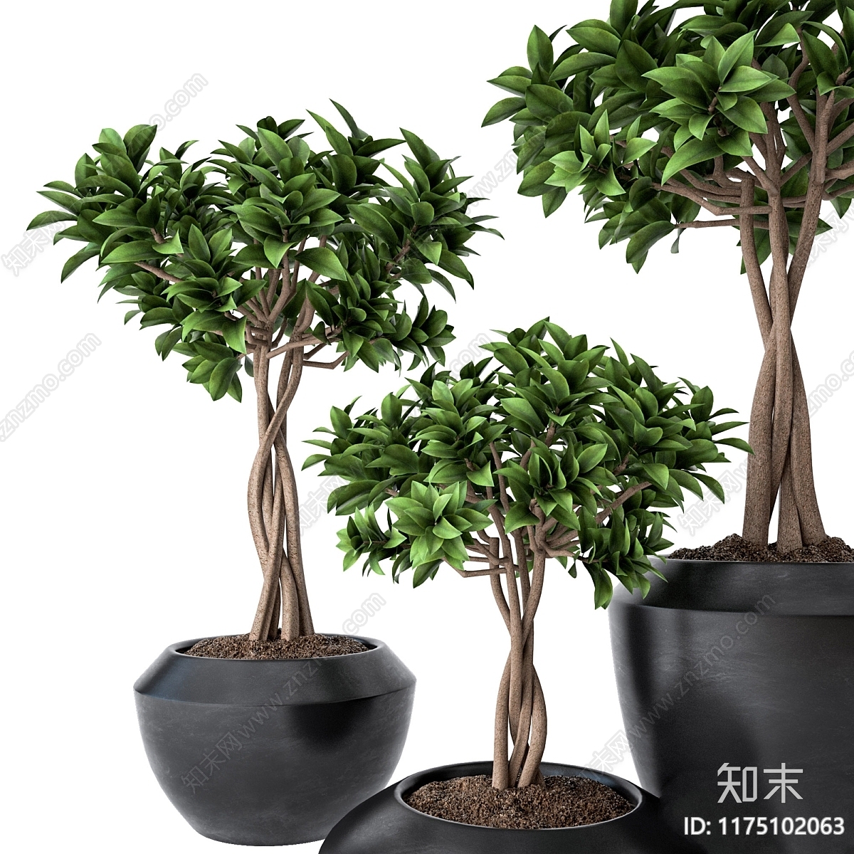 盆栽3D模型下载【ID:1175102063】