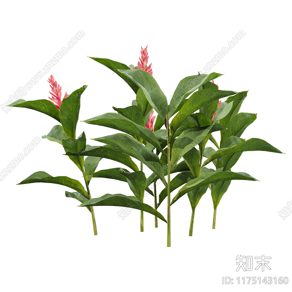 花草组合3D模型下载【ID:1175143160】