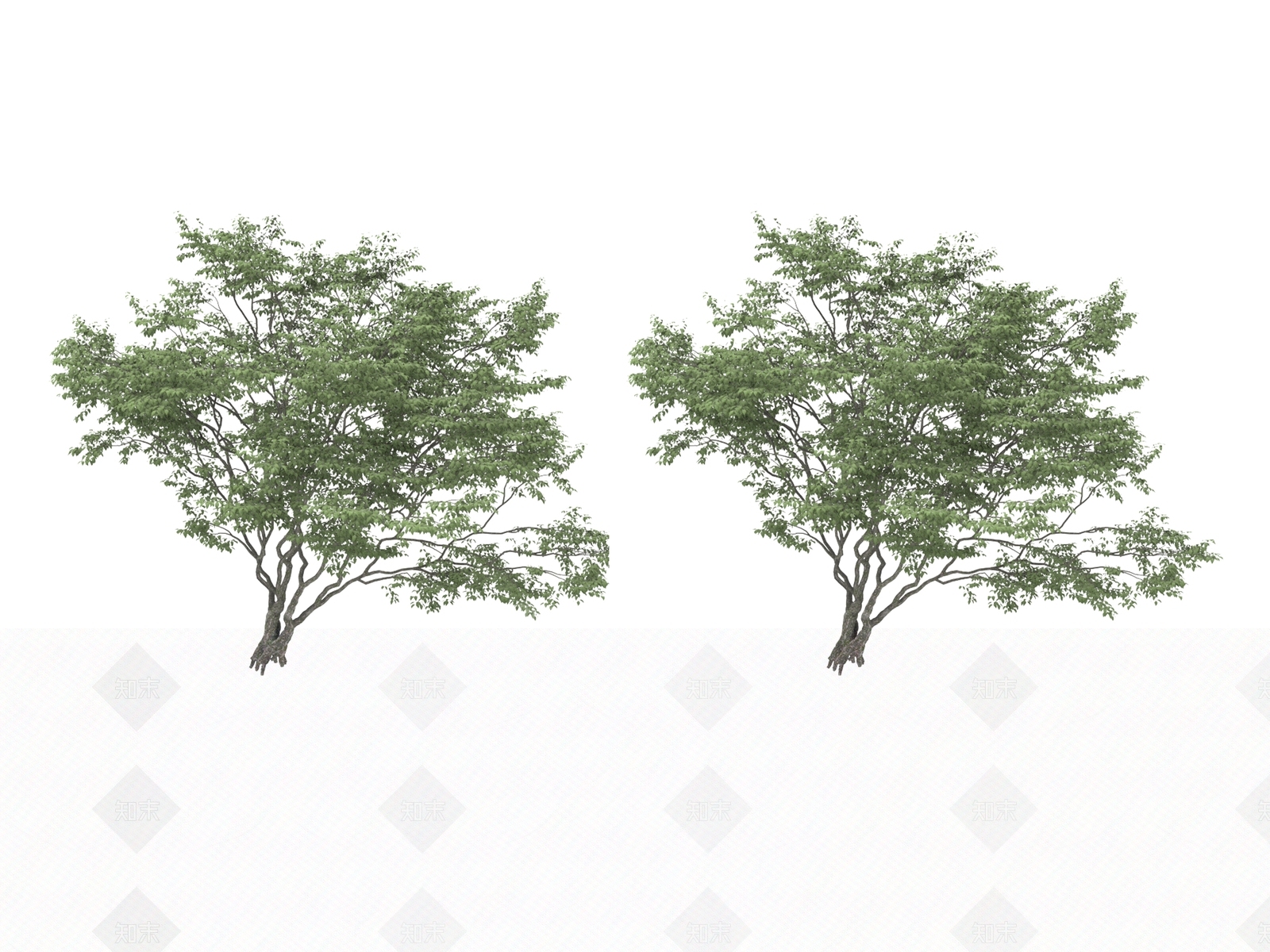 乔木3D模型下载【ID:1175143983】