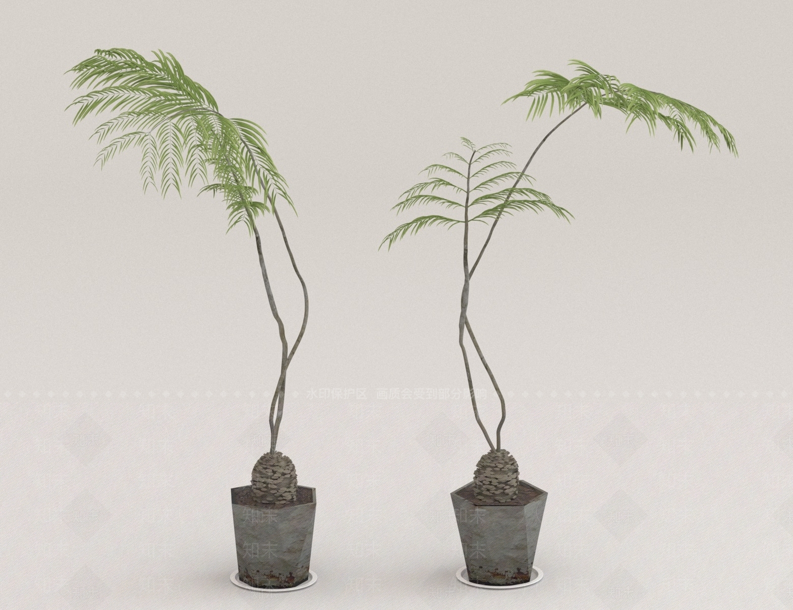 其他绿植3D模型下载【ID:1175154773】