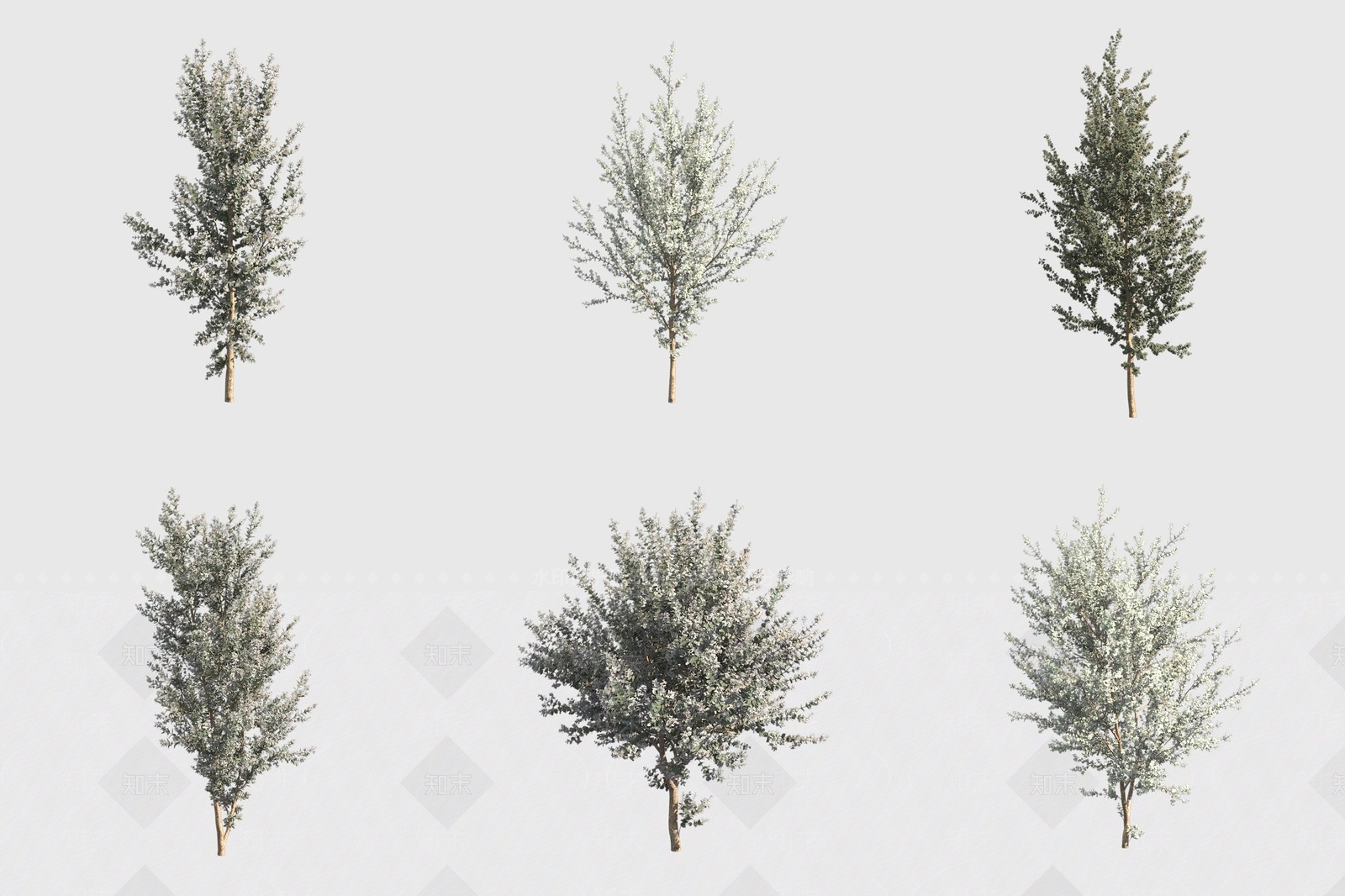 景观树3D模型下载【ID:1175166512】