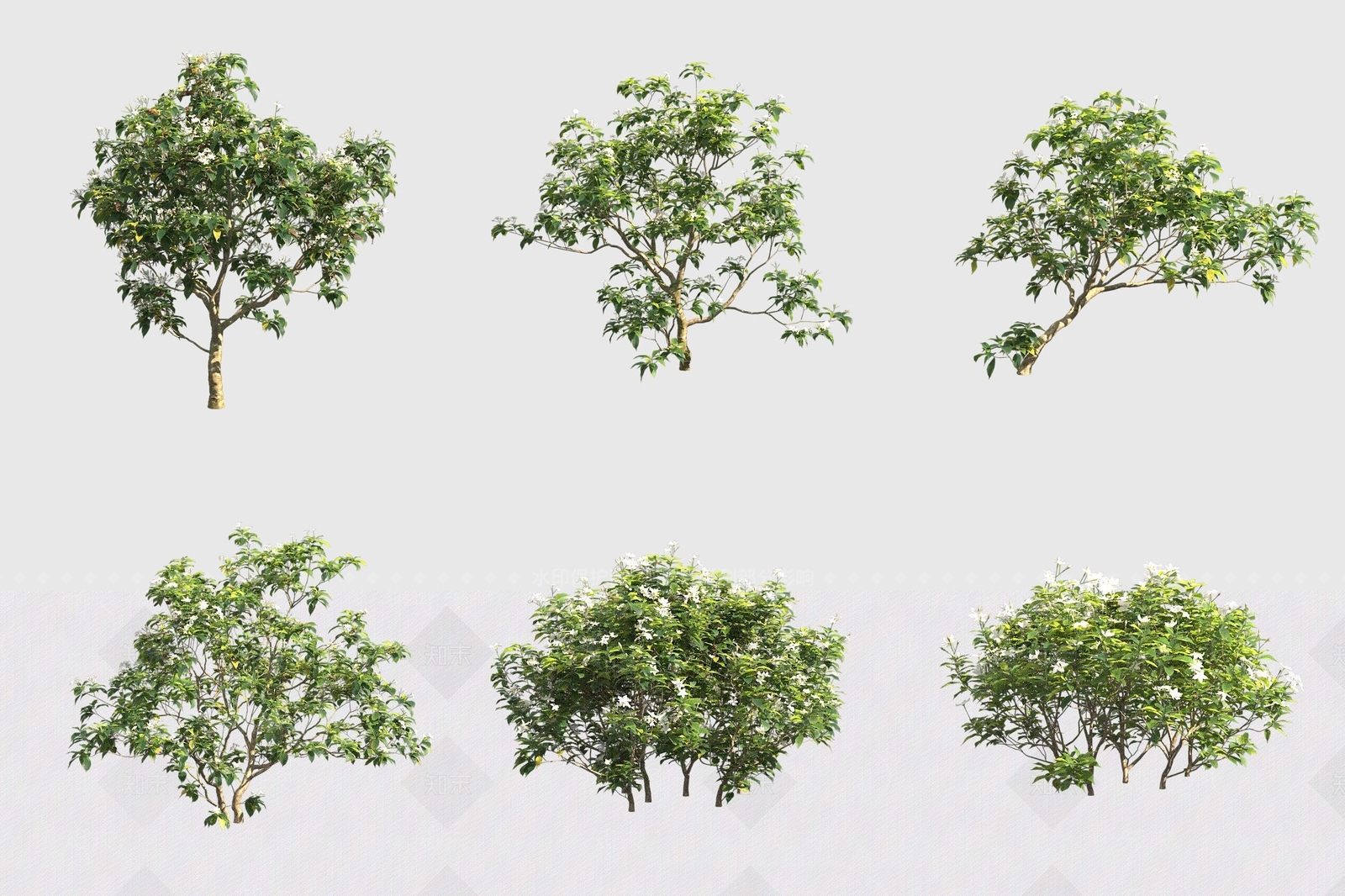 灌木3D模型下载【ID:1175166917】