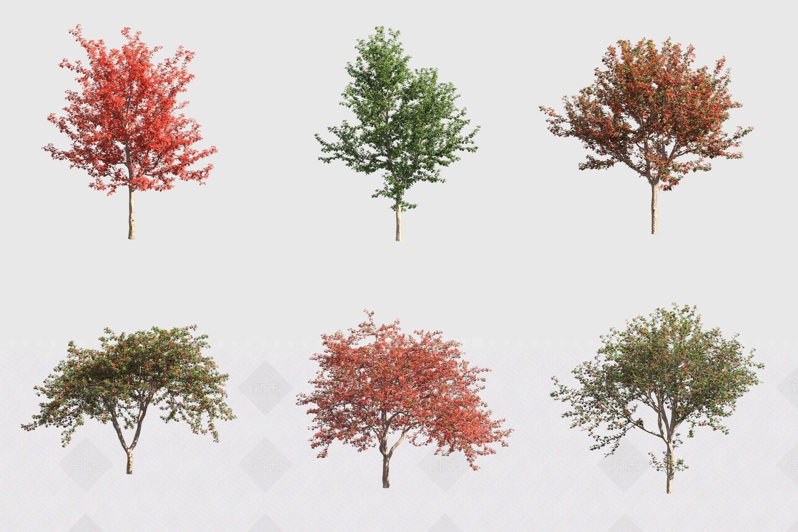 景观树3D模型下载【ID:1175169526】