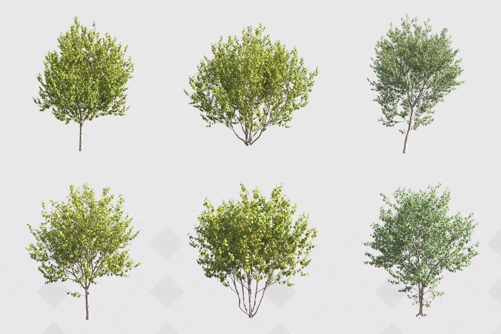 灌木3D模型下载【ID:1175169847】