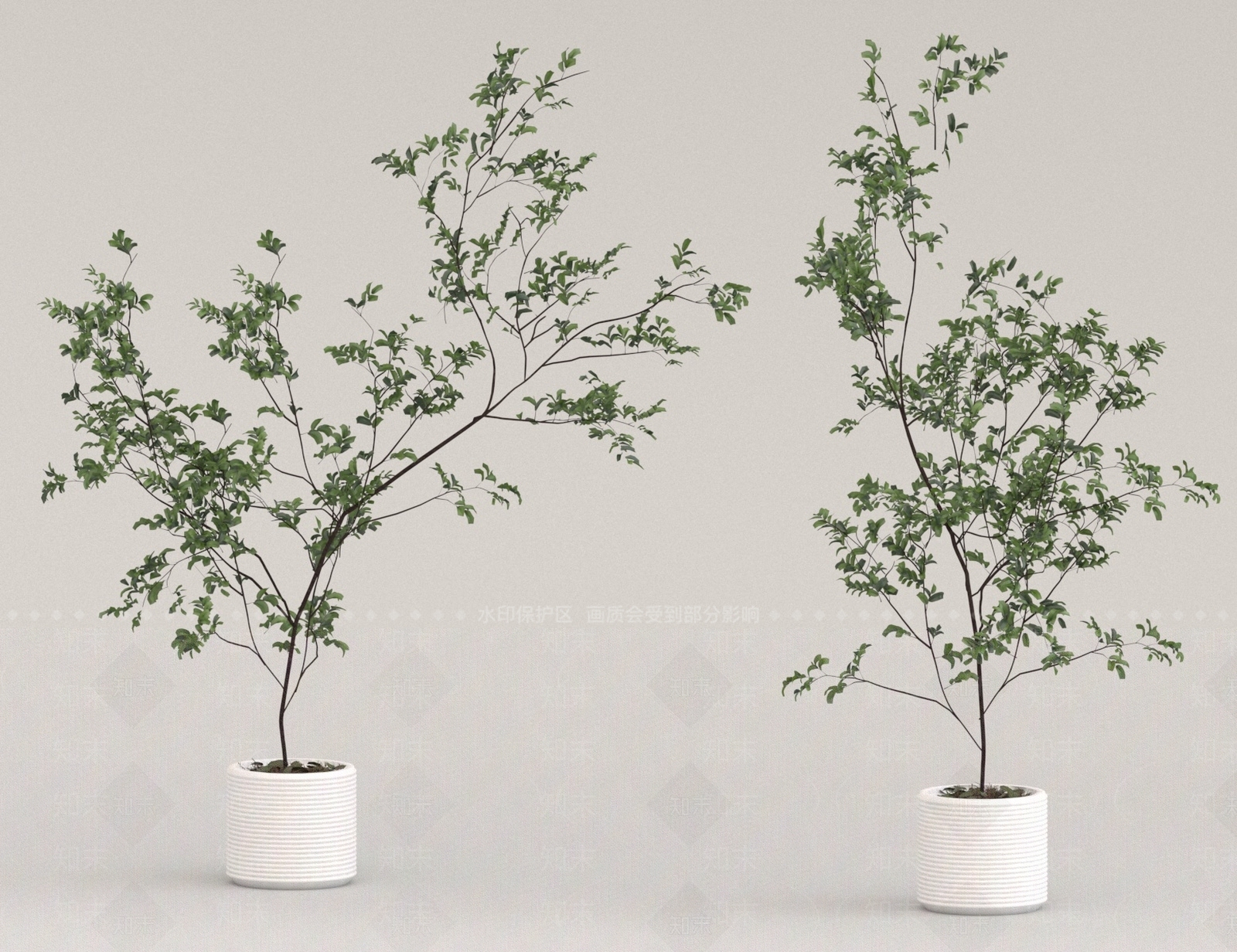 其他绿植3D模型下载【ID:1175265461】