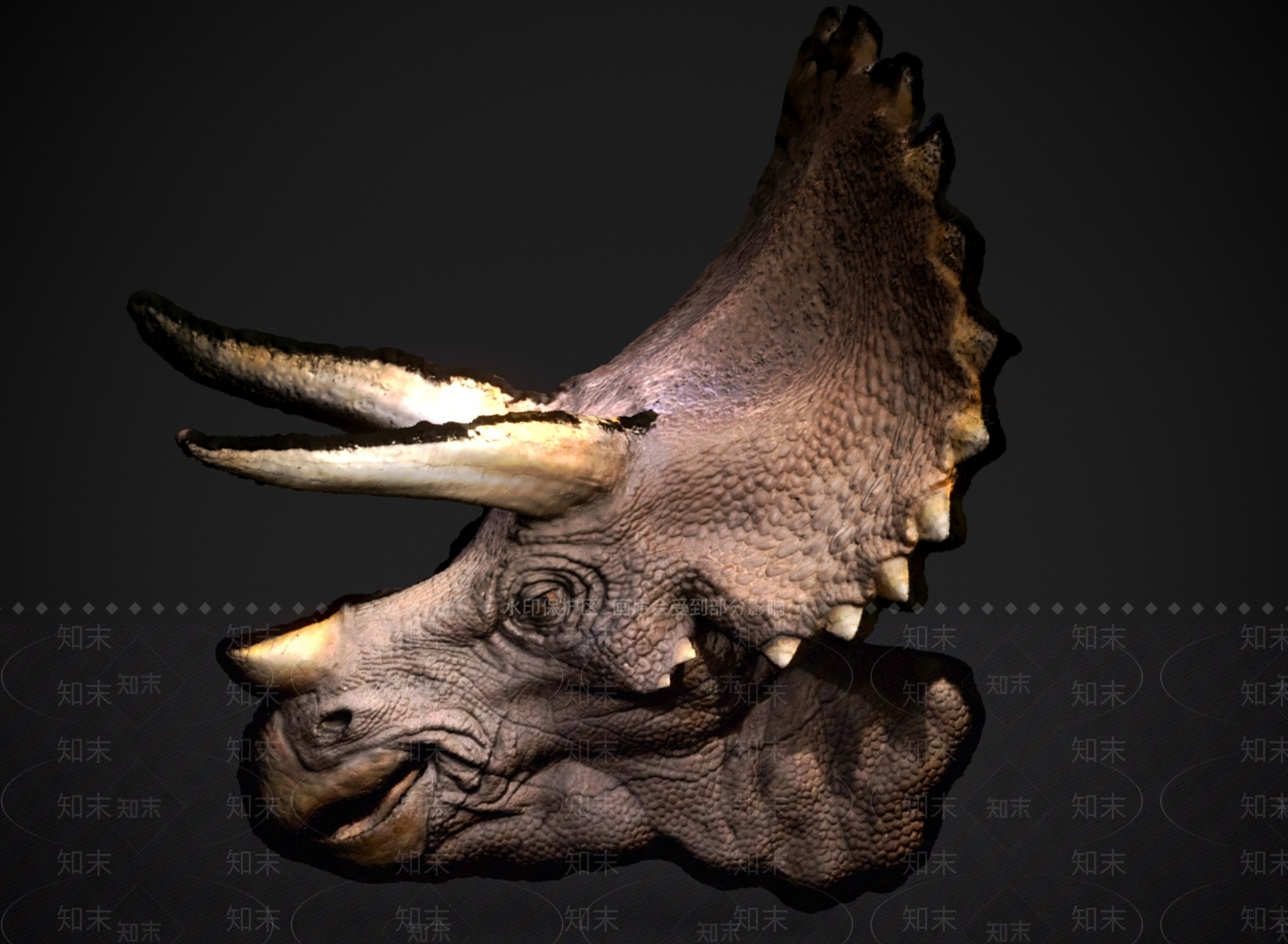 其他动物3D模型下载【ID:1175270886】