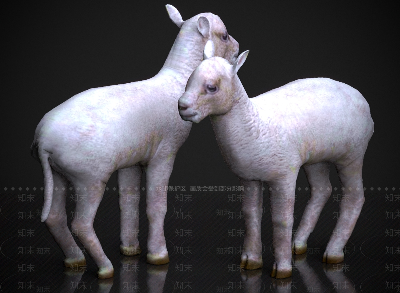 家禽类动物3D模型下载【ID:1175272509】