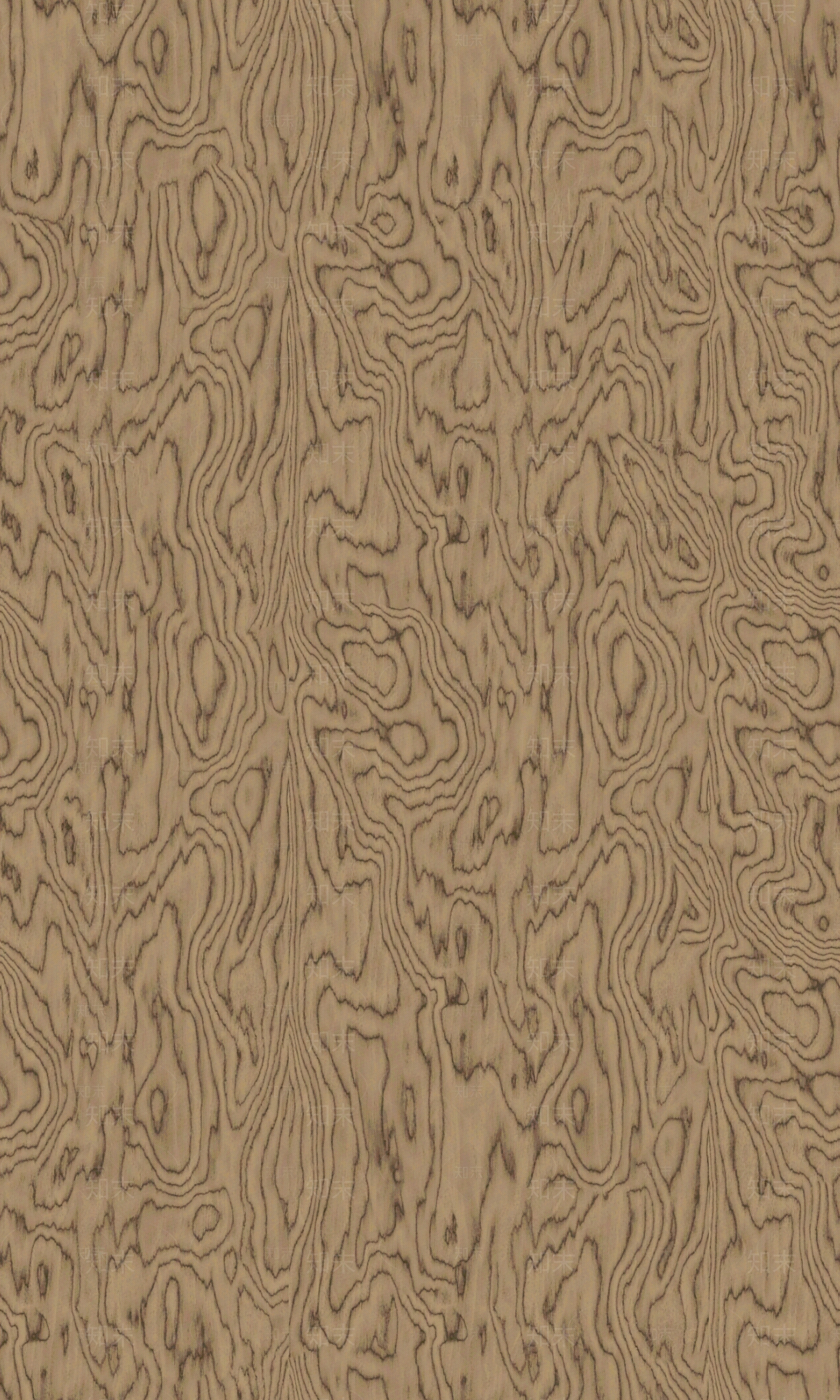 现代意式木纹贴图下载【ID:1175314196】