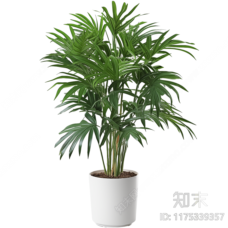 现代意式其他植物下载【ID:1175339357】