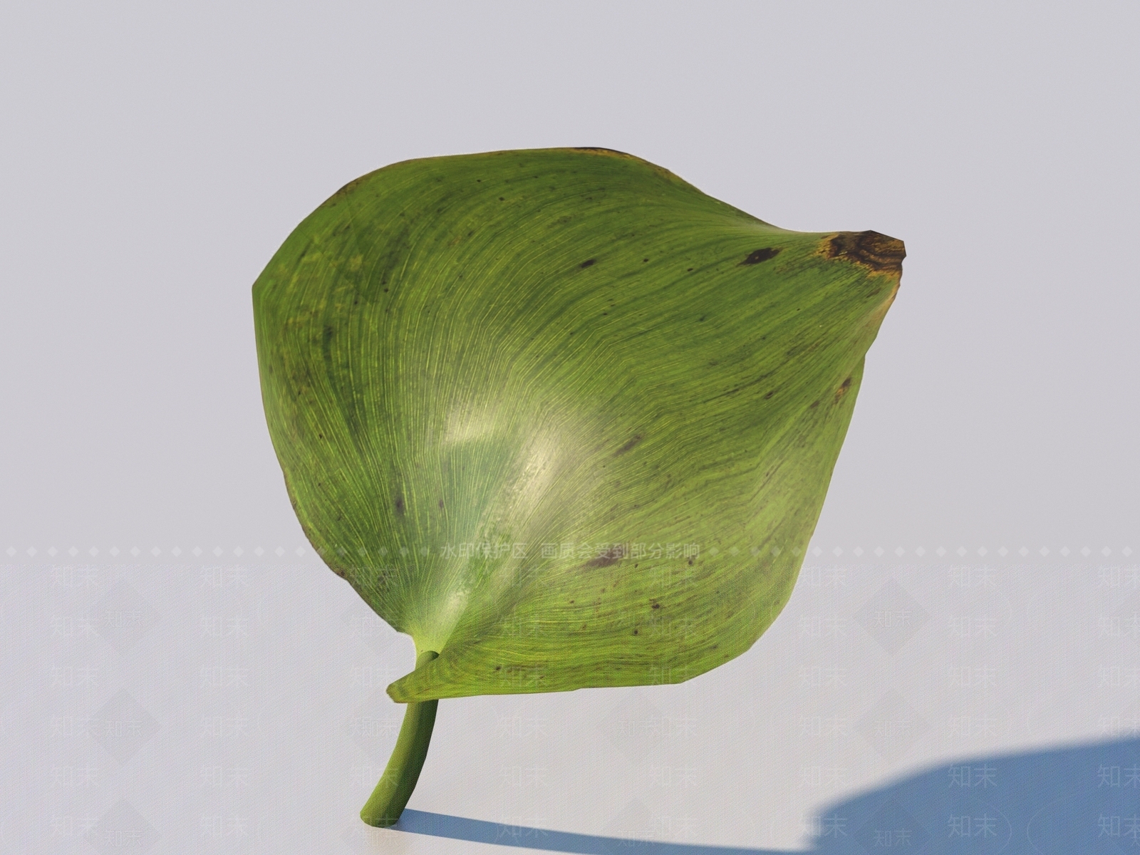 其他树木3D模型下载【ID:1175343747】