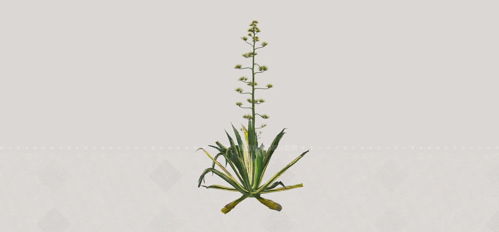 灌木SU模型下载【ID:1175428290】