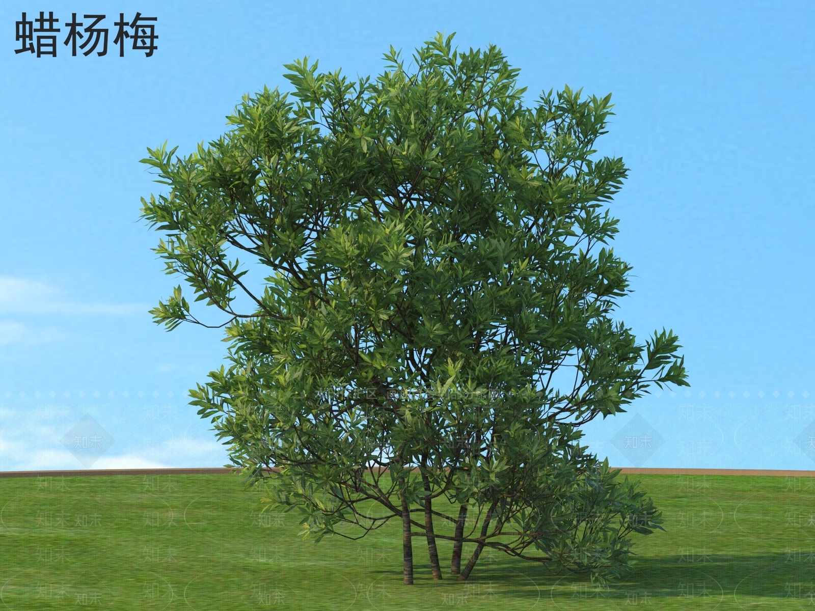 灌木3D模型下载【ID:1175429246】