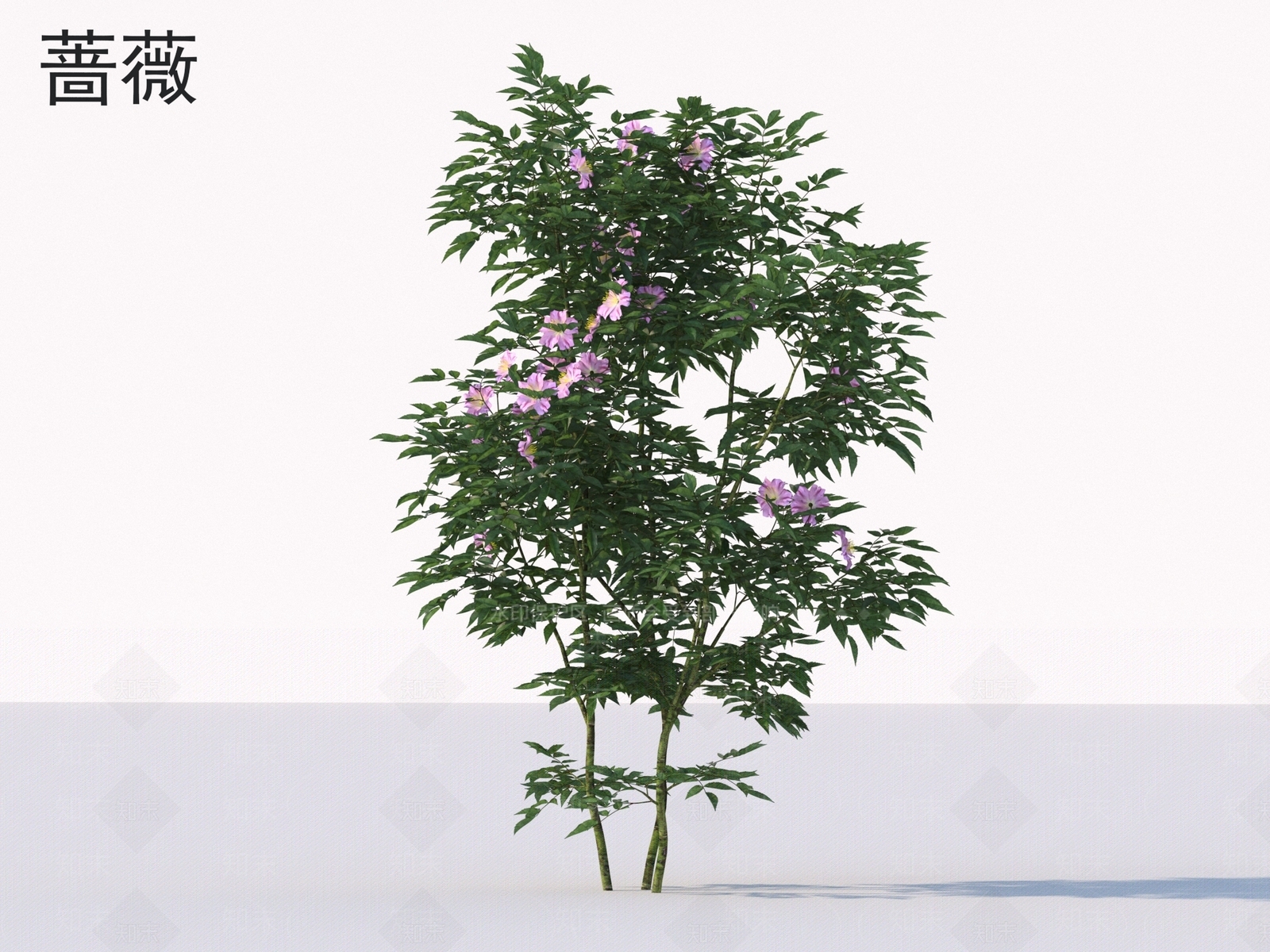 灌木3D模型下载【ID:1175430860】