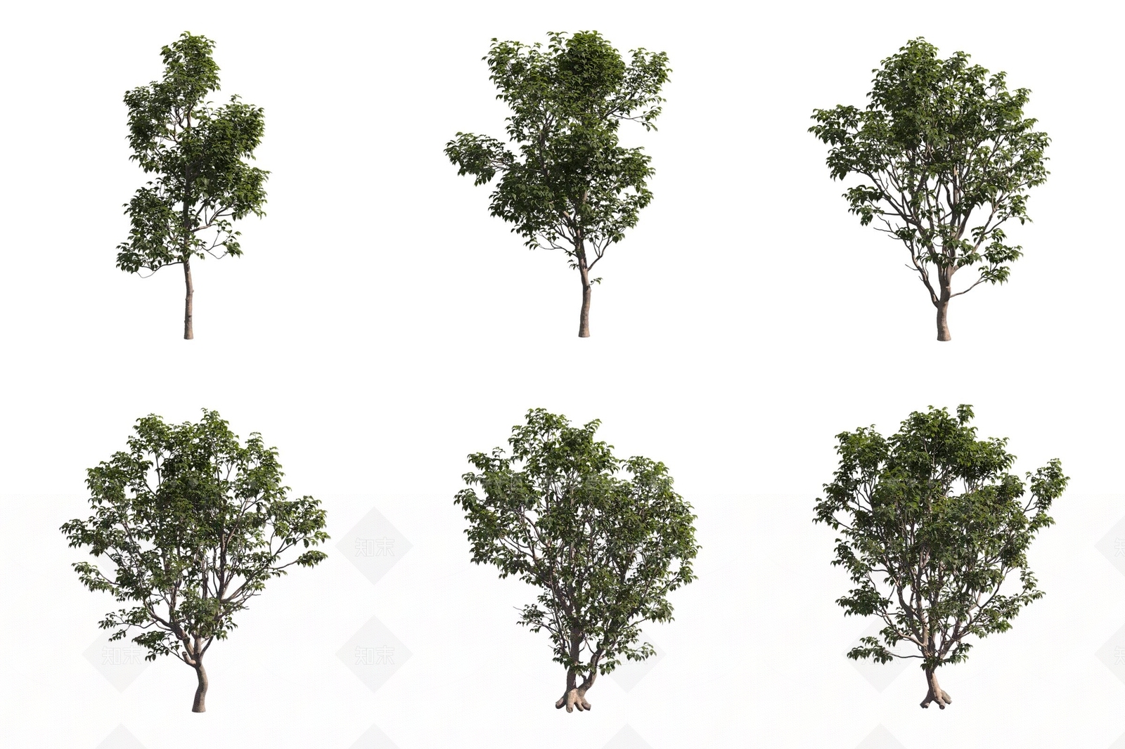景观树3D模型下载【ID:1175478789】