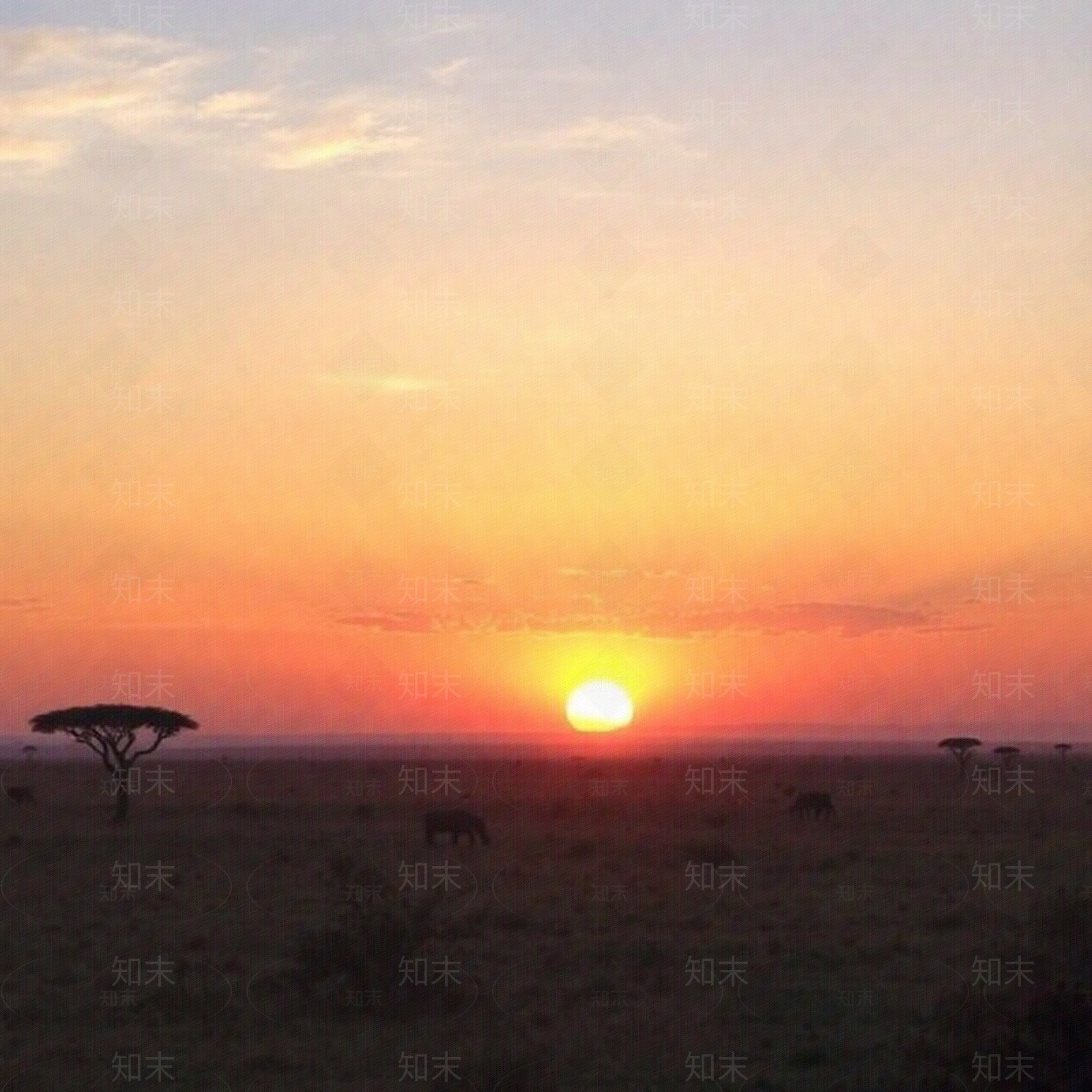 现代风景贴图下载【ID:1175539237】