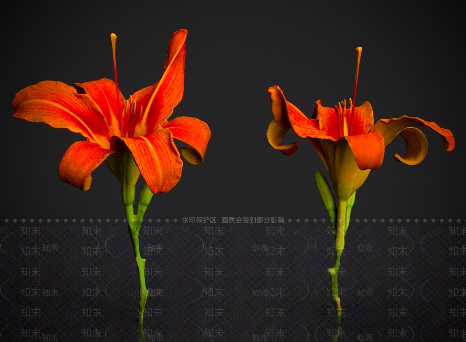 花3D模型下载【ID:1175576606】