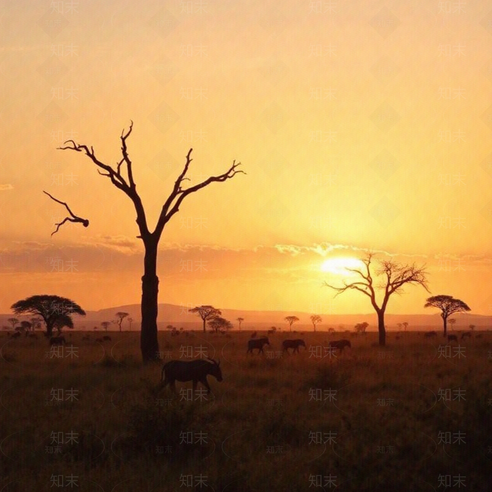 现代风景贴图下载【ID:1175577639】