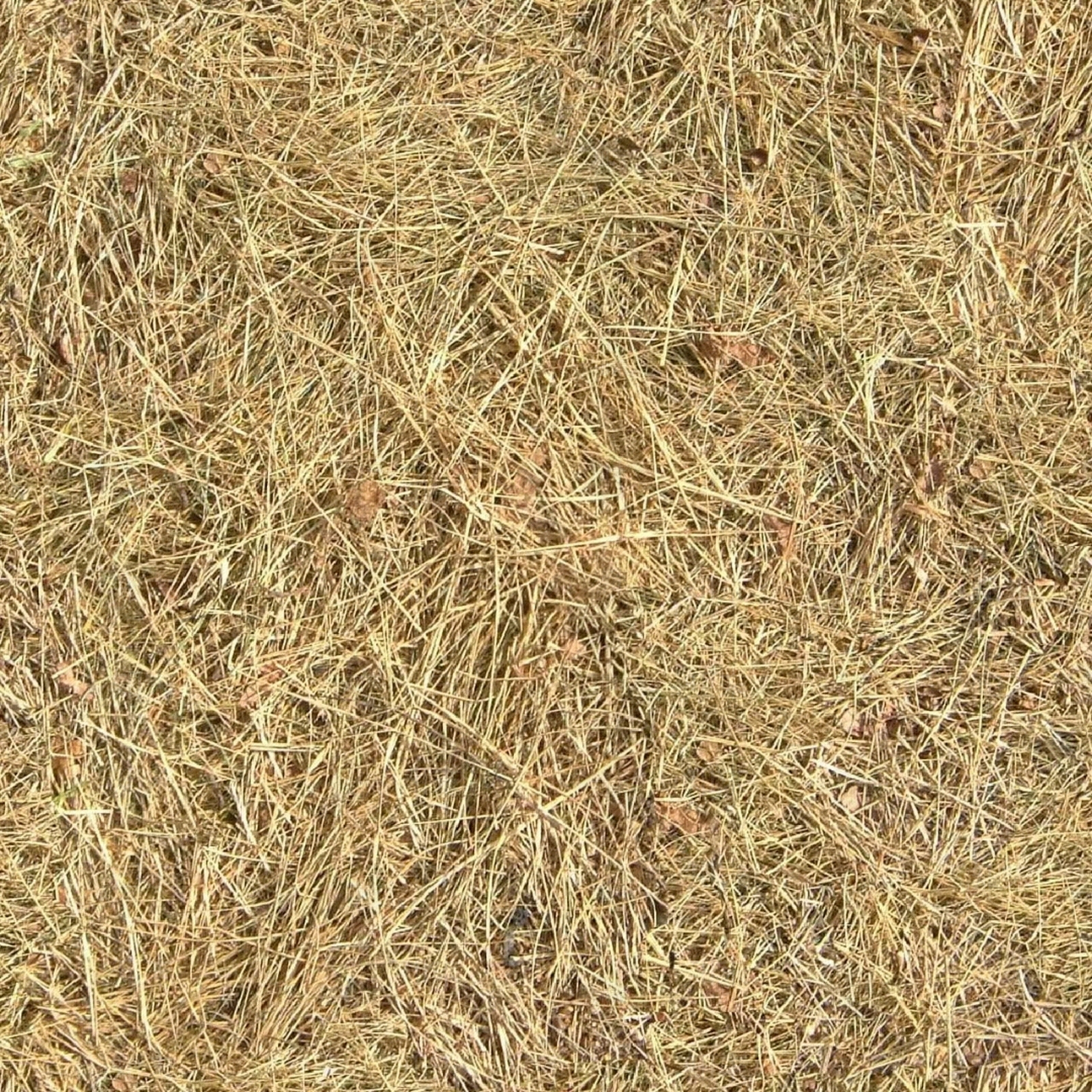 现代新中式自然地面贴图下载【ID:1175590969】