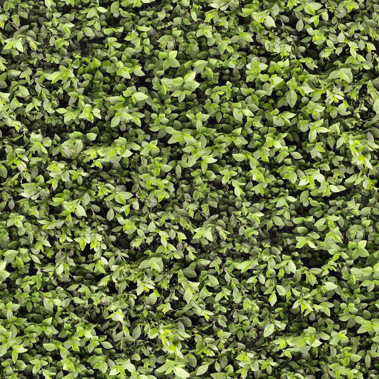 现代自然地面贴图下载【ID:1175598795】