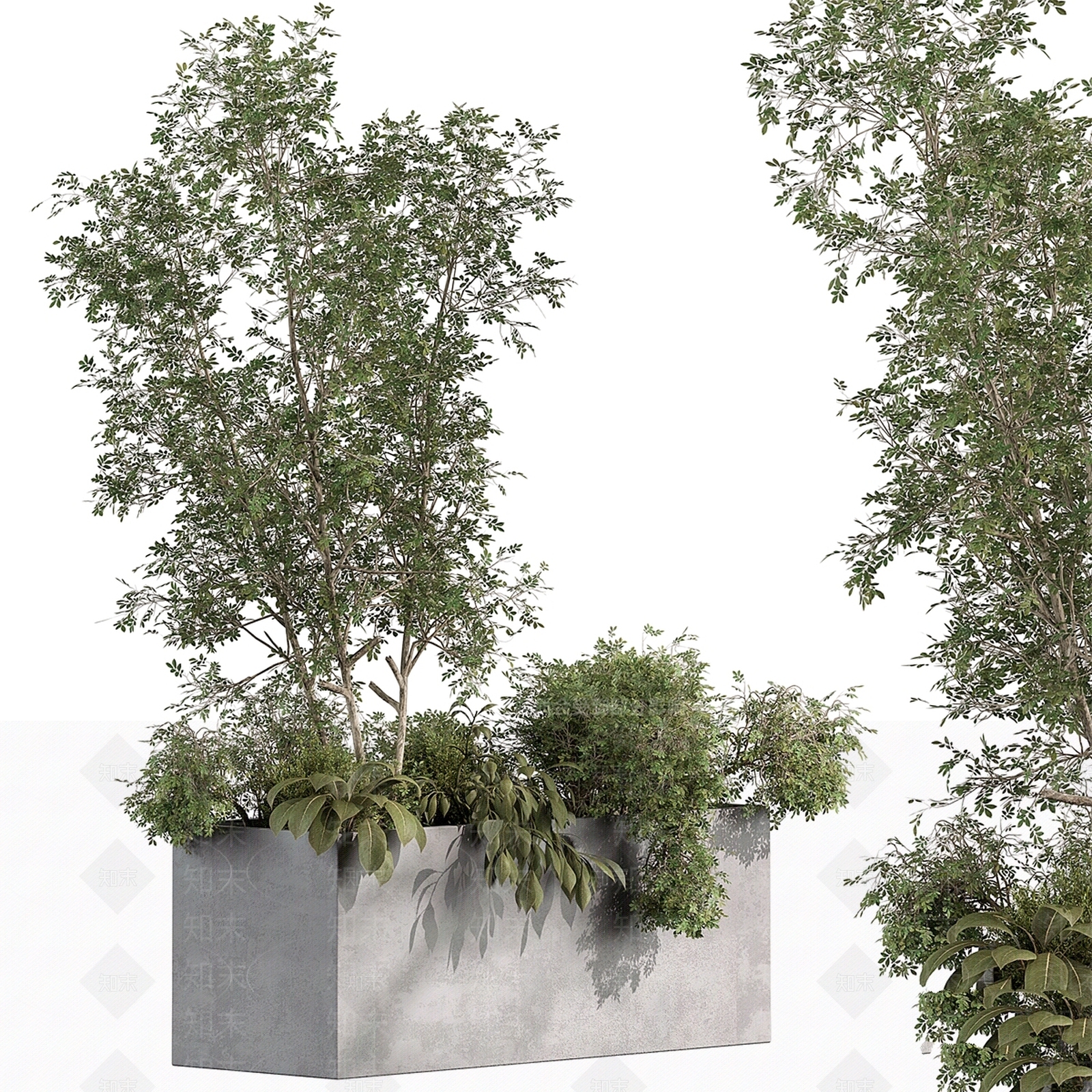 其他绿植3D模型下载【ID:1175634277】
