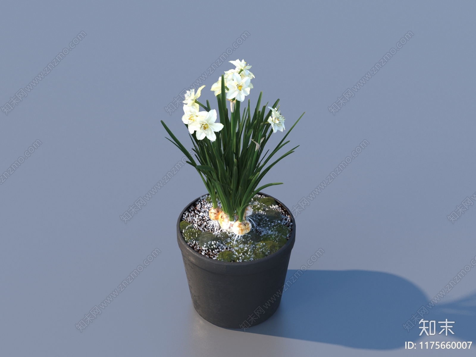 盆栽3D模型下载【ID:1175660007】