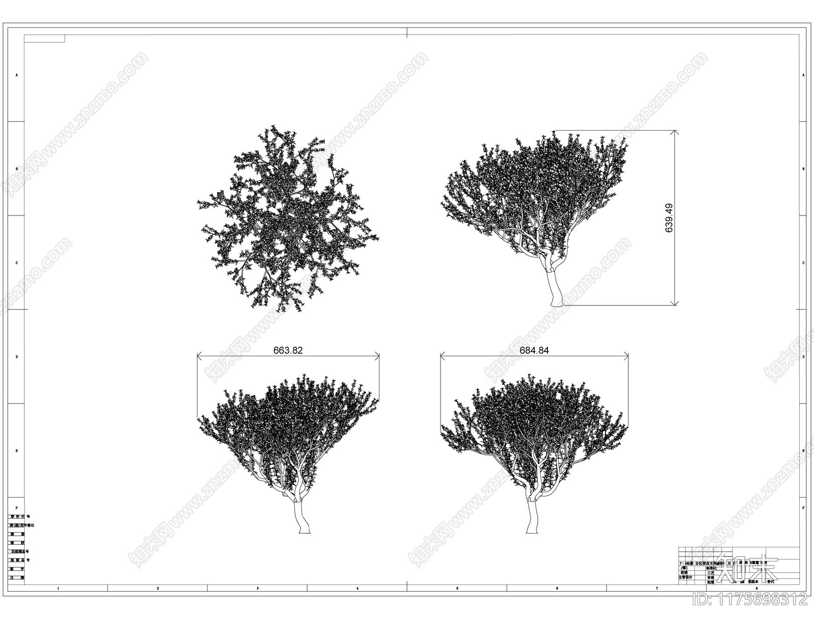现代树cad施工图下载【ID:1175698312】