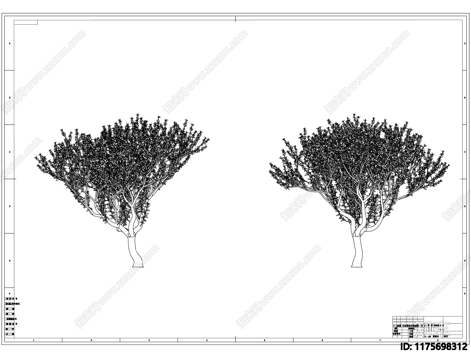 现代树cad施工图下载【ID:1175698312】
