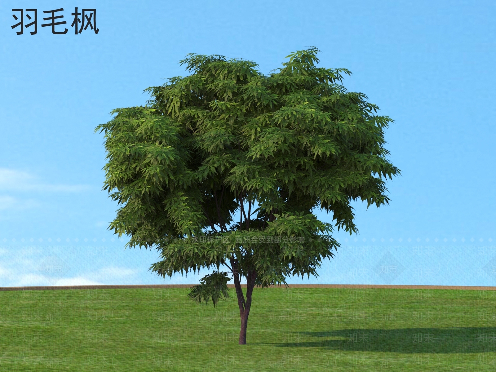 景观树3D模型下载【ID:1175793115】