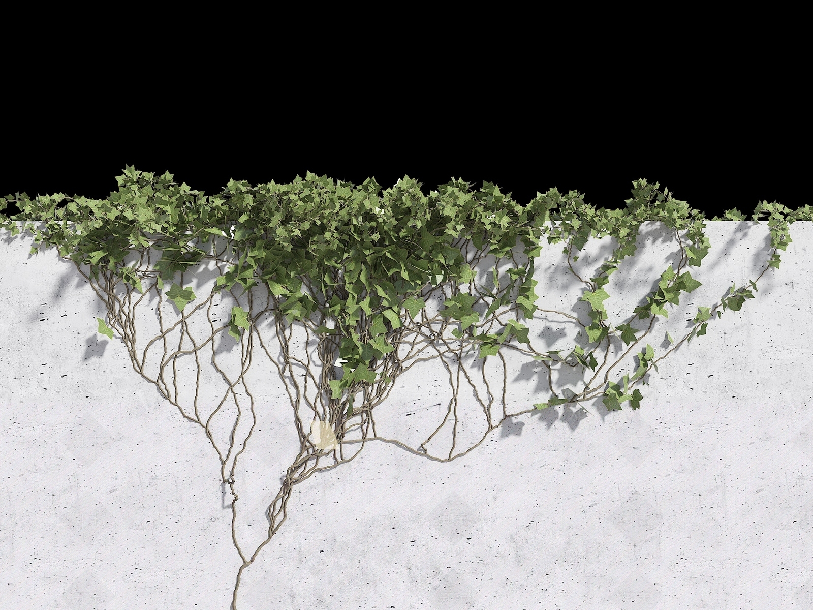 藤蔓3D模型下载【ID:1175804110】