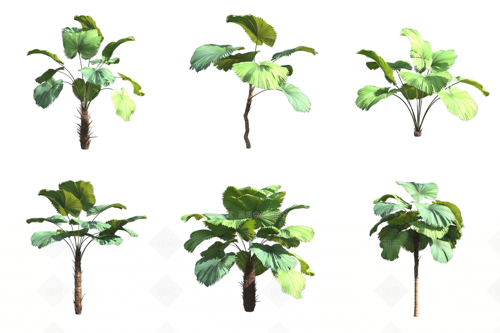 景观树3D模型下载【ID:1175822555】