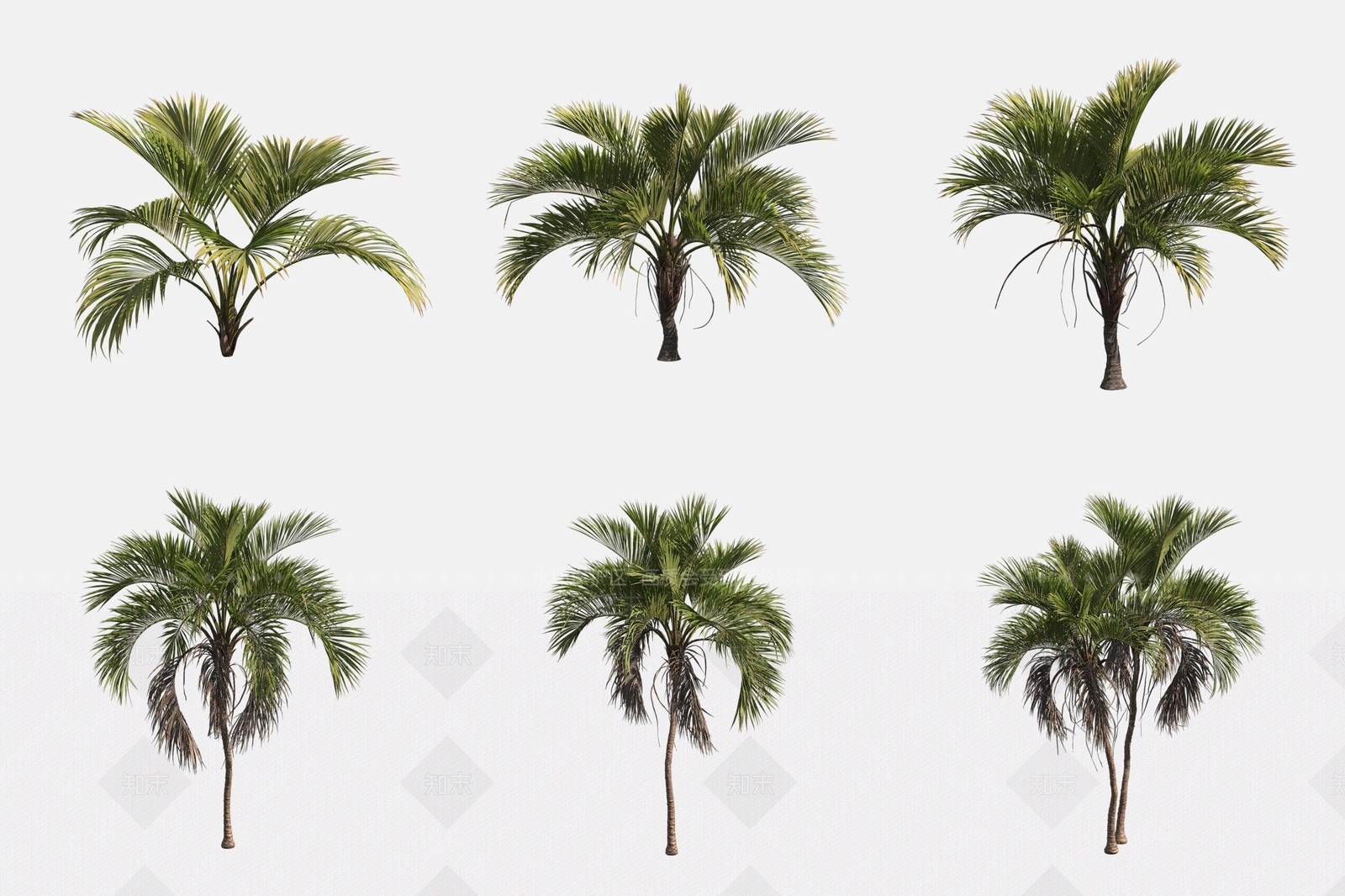 景观树3D模型下载【ID:1175823420】