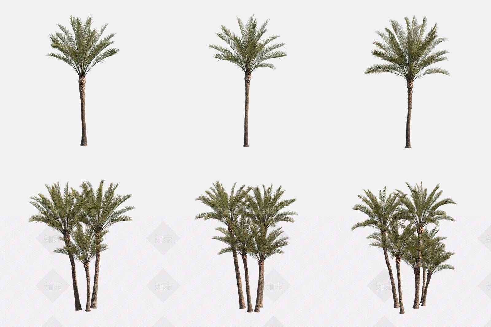 景观树3D模型下载【ID:1175824636】